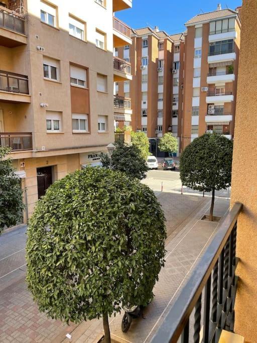 Apartamento Zoco Cordoba Ngoại thất bức ảnh